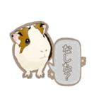 道産子モルモットのまるきち‪ ·͜·（個別スタンプ：7）