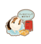 道産子モルモットのまるきち‪ ·͜·（個別スタンプ：9）