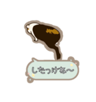道産子モルモットのまるきち‪ ·͜·（個別スタンプ：13）