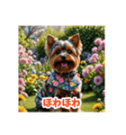 かわいい3Dヨークシャテリア（春）（個別スタンプ：6）