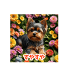 かわいい3Dヨークシャテリア（春）（個別スタンプ：24）