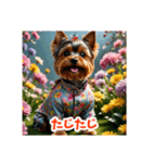 かわいい3Dヨークシャテリア（春）（個別スタンプ：34）