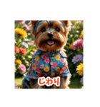 かわいい3Dヨークシャテリア（春）（個別スタンプ：35）
