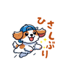 野球大好き犬！コーイケルホンディエ（個別スタンプ：6）