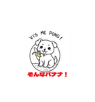 子犬まっしぐら（個別スタンプ：26）