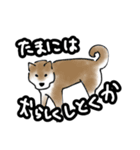 ふざけ散らかすいぬ（個別スタンプ：15）