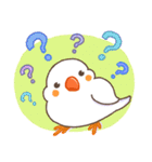 キンカチョウ好き？（個別スタンプ：1）
