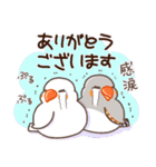 キンカチョウ好き？（個別スタンプ：4）