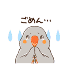 キンカチョウ好き？（個別スタンプ：8）