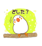 キンカチョウ好き？（個別スタンプ：12）