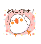キンカチョウ好き？（個別スタンプ：13）