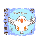 キンカチョウ好き？（個別スタンプ：14）