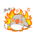 キンカチョウ好き？（個別スタンプ：15）