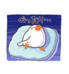 キンカチョウ好き？（個別スタンプ：16）