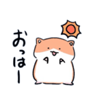 若干可愛くないハムスター（個別スタンプ：1）