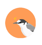 まるっとかわいい野鳥スタンプ（個別スタンプ：3）