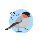 まるっとかわいい野鳥スタンプ（個別スタンプ：10）