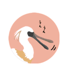 まるっとかわいい野鳥スタンプ（個別スタンプ：11）
