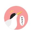 まるっとかわいい野鳥スタンプ（個別スタンプ：15）