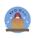 まるっとかわいい野鳥スタンプ（個別スタンプ：17）