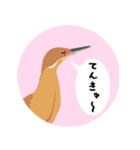 まるっとかわいい野鳥スタンプ（個別スタンプ：21）