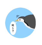 まるっとかわいい野鳥スタンプ（個別スタンプ：23）