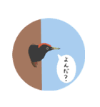 まるっとかわいい野鳥スタンプ（個別スタンプ：26）