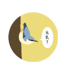 まるっとかわいい野鳥スタンプ（個別スタンプ：30）
