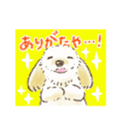 動く！ハーフ犬マルックス ラテちゃん 3（個別スタンプ：1）