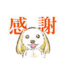 動く！ハーフ犬マルックス ラテちゃん 3（個別スタンプ：2）