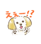 動く！ハーフ犬マルックス ラテちゃん 3（個別スタンプ：8）