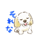 動く！ハーフ犬マルックス ラテちゃん 3（個別スタンプ：10）