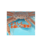 カニcrab（個別スタンプ：6）