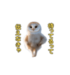 動くフクロウって伝えなきゃ（個別スタンプ：7）