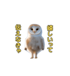 動くフクロウって伝えなきゃ（個別スタンプ：14）