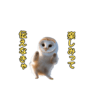 動くフクロウって伝えなきゃ（個別スタンプ：15）