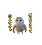 動くフクロウって伝えなきゃ（個別スタンプ：18）