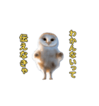 動くフクロウって伝えなきゃ（個別スタンプ：20）