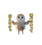 動くフクロウって伝えなきゃ（個別スタンプ：22）