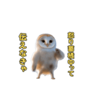 動くフクロウって伝えなきゃ（個別スタンプ：23）