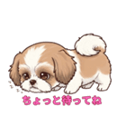 シーズーといっしょに（個別スタンプ：2）