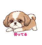 シーズーといっしょに（個別スタンプ：3）