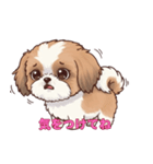 シーズーといっしょに（個別スタンプ：4）