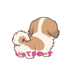 シーズーといっしょに（個別スタンプ：5）
