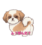 シーズーといっしょに（個別スタンプ：6）