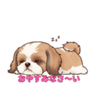 シーズーといっしょに（個別スタンプ：19）