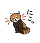 こじんまり動物園2（個別スタンプ：31）
