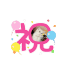 動く猫しえるくん(こっち)（個別スタンプ：4）