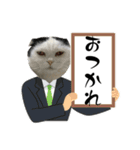 犬猫待ち合わせ（個別スタンプ：24）