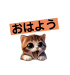 リアルかわいい子猫のスタンプ（個別スタンプ：6）